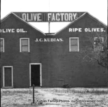 Bohiemian brand Olive Factory